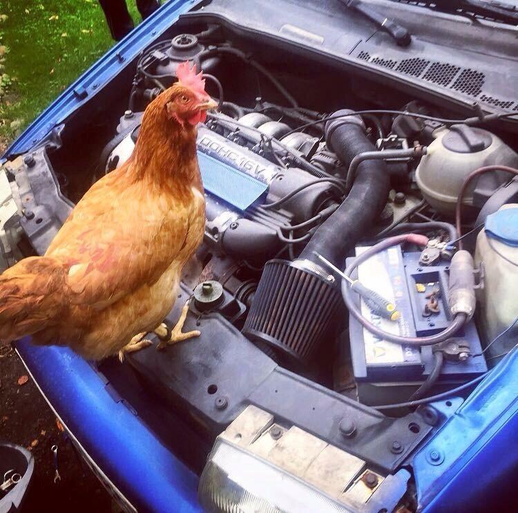 VW Polo 6n billede 9