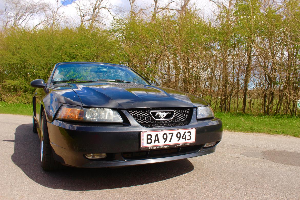 Ford Mustang GT 4.6 V8 billede 3