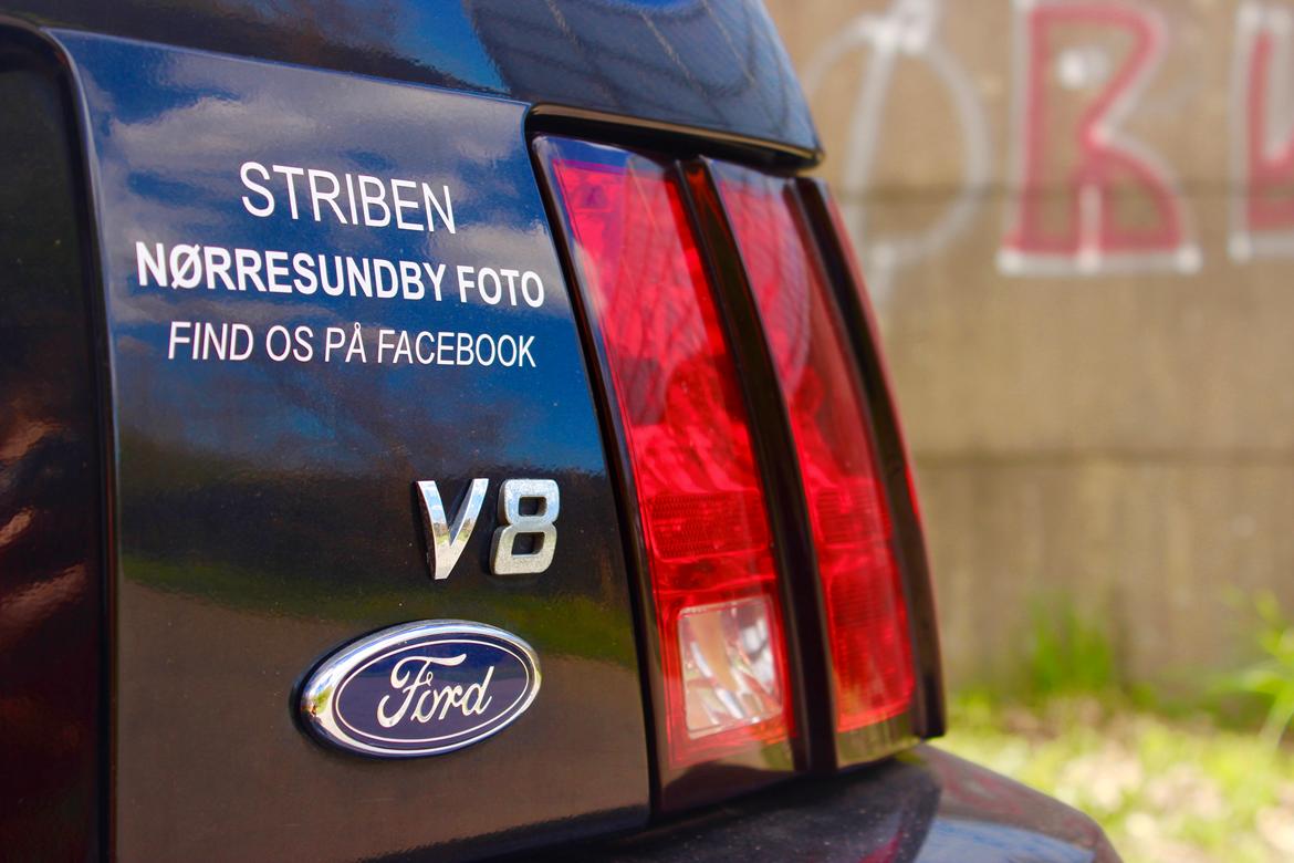 Ford Mustang GT 4.6 V8 billede 6