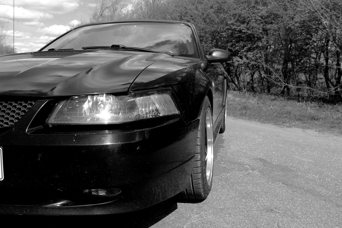 Ford Mustang GT 4.6 V8 billede 10