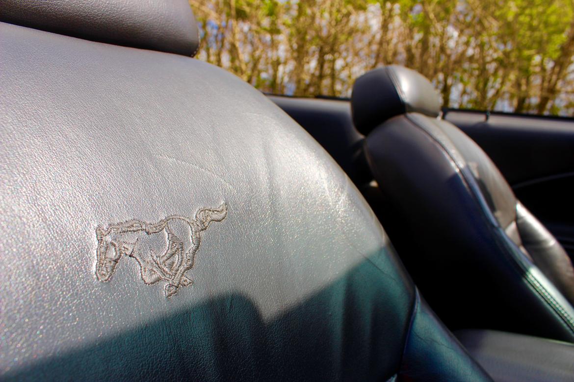 Ford Mustang GT 4.6 V8 billede 16