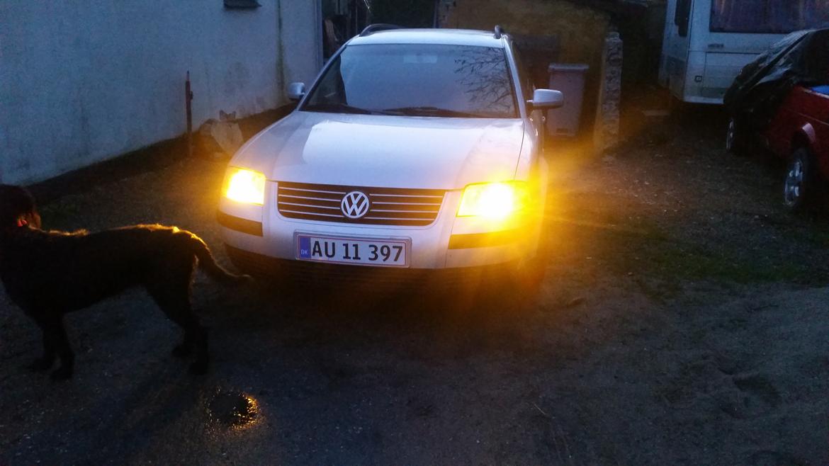 VW passat 3bg billede 5