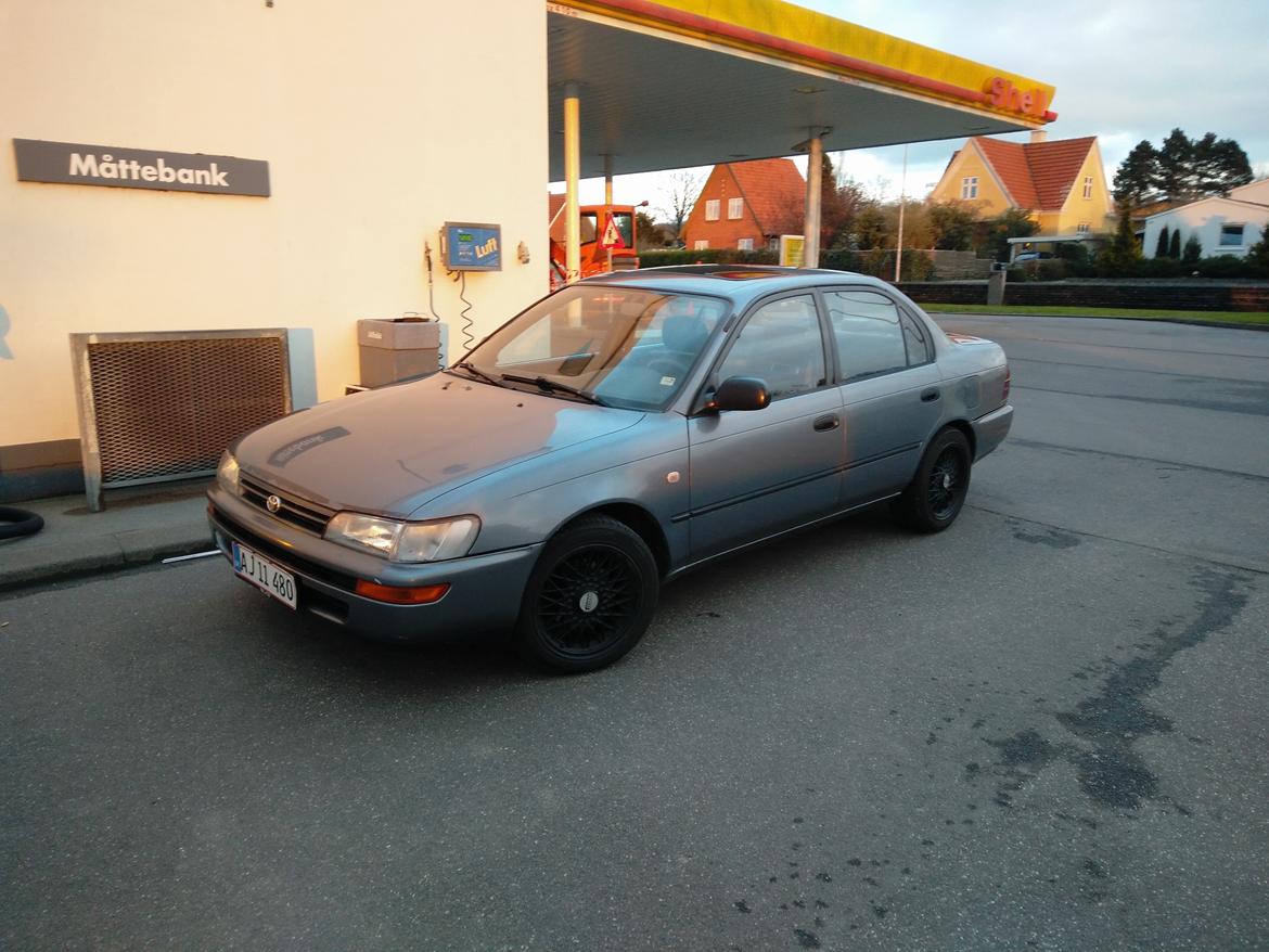 Toyota Corolla XLI E10 billede 1