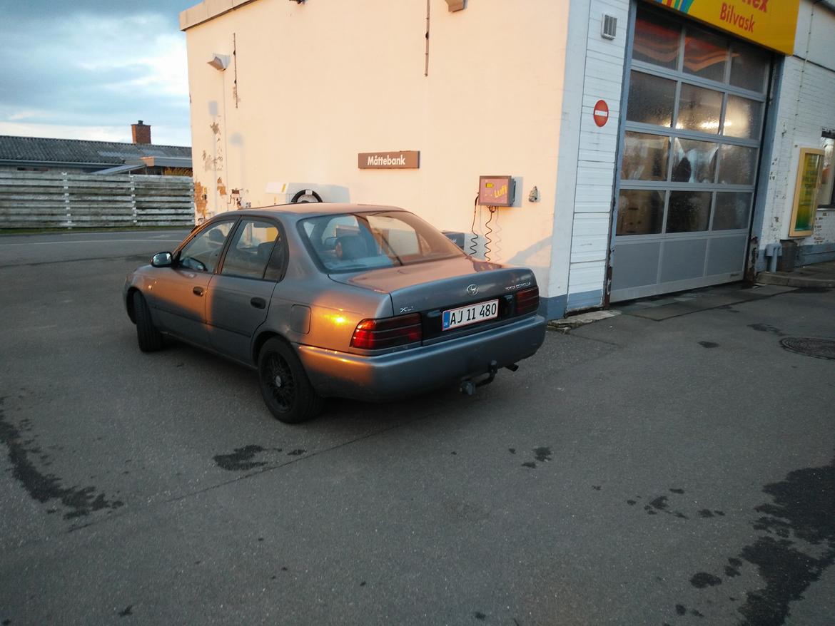 Toyota Corolla XLI E10 billede 3