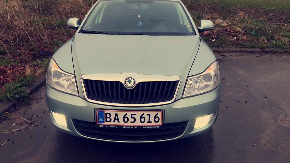 Skoda Octavia  billede 1