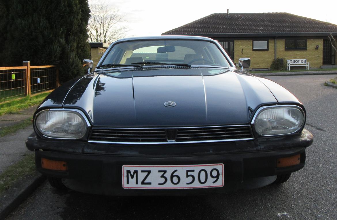 Jaguar XJ-S V12 Coupe billede 4