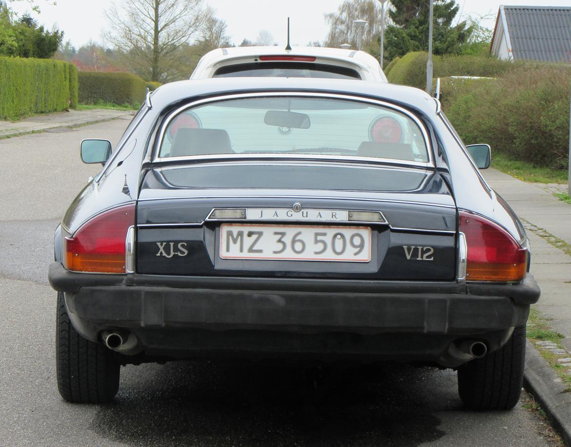 Jaguar XJ-S V12 Coupe billede 8