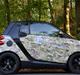 Smart Fortwo 0,8 CDI Pure