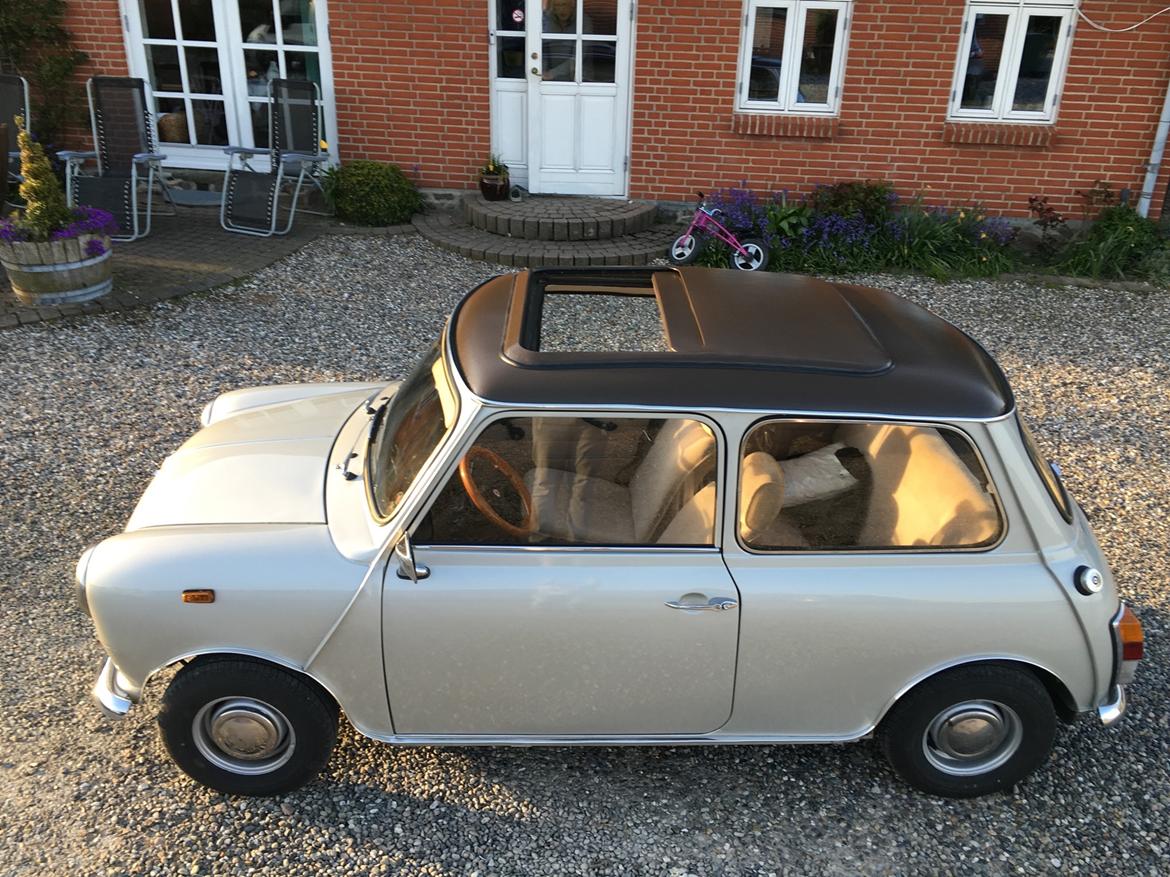Austin-Morris Mascot 1250 speciel (SOLGT) billede 3