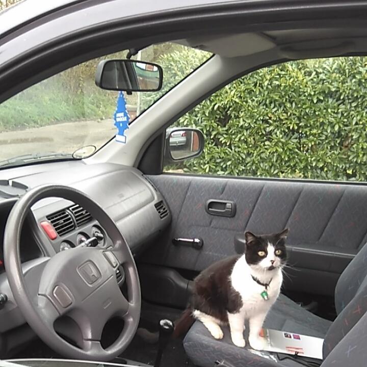 Honda Logo GA3 *Bibi* - Frække mis :P billede 16