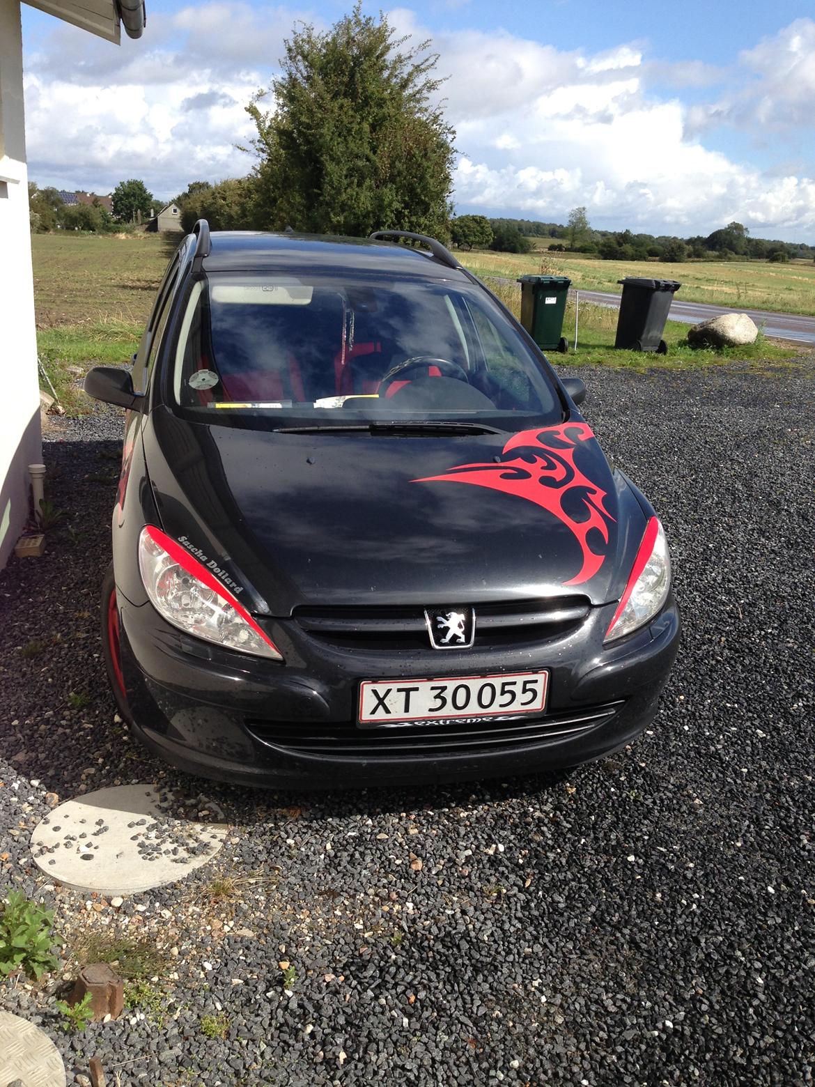 Peugeot 307 billede 4