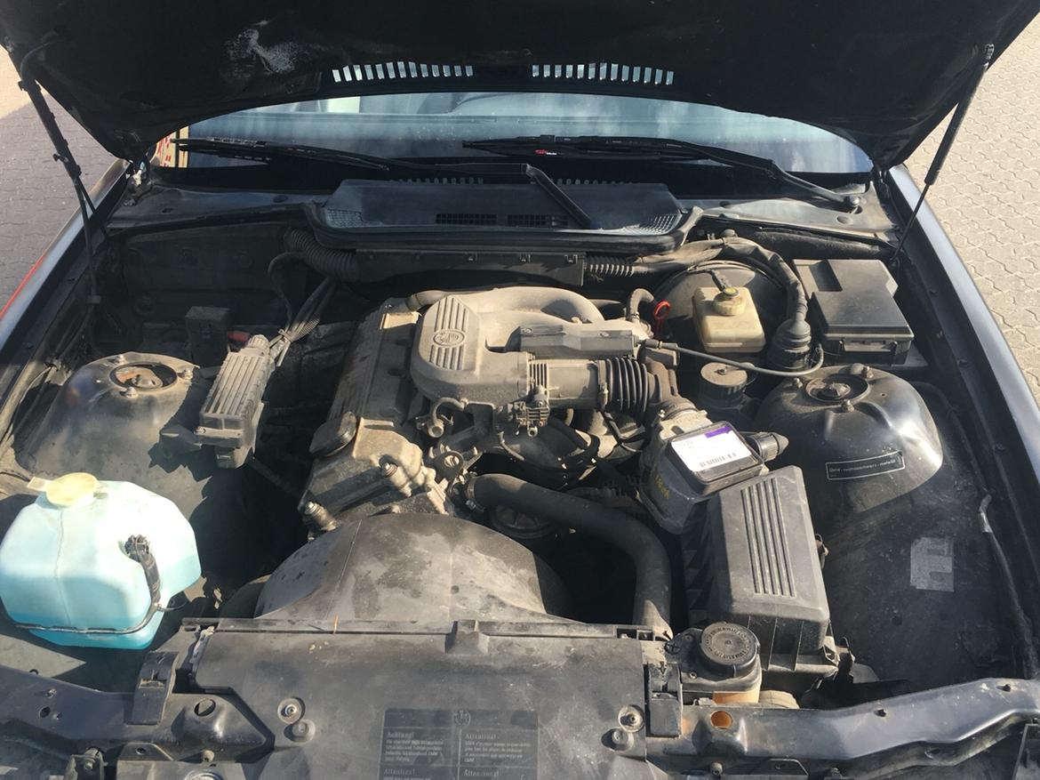 BMW 318i cabriolet billede 11