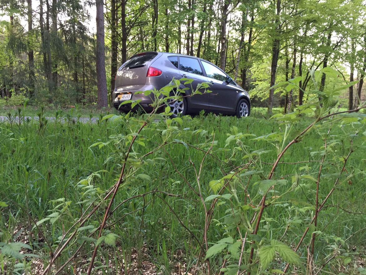 Seat Altea FR SOLGT  billede 14