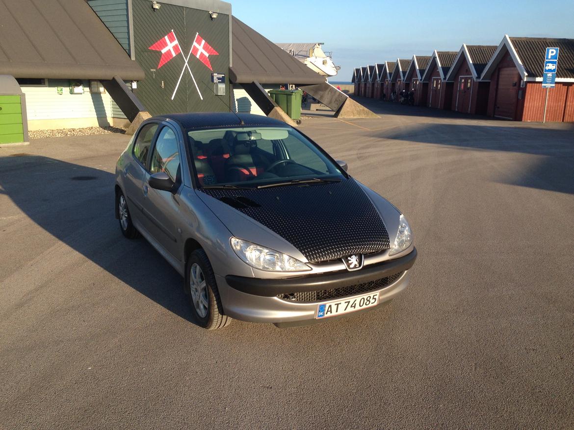 Peugeot 206 xr hdi RIP billede 5