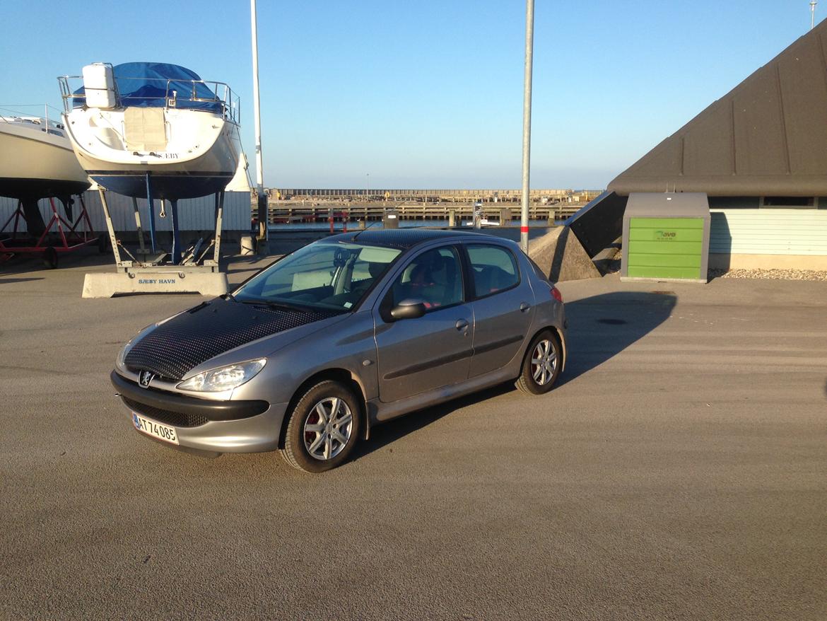 Peugeot 206 xr hdi RIP billede 6