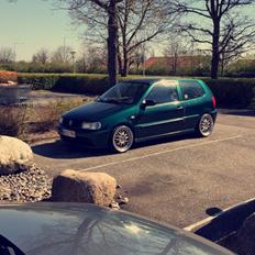 VW POLO GTI 6N/6N2 (so1gt)