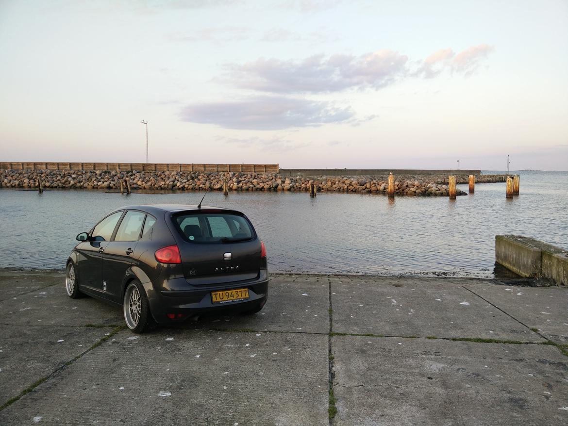 Seat Altea 1.9 TDI billede 4