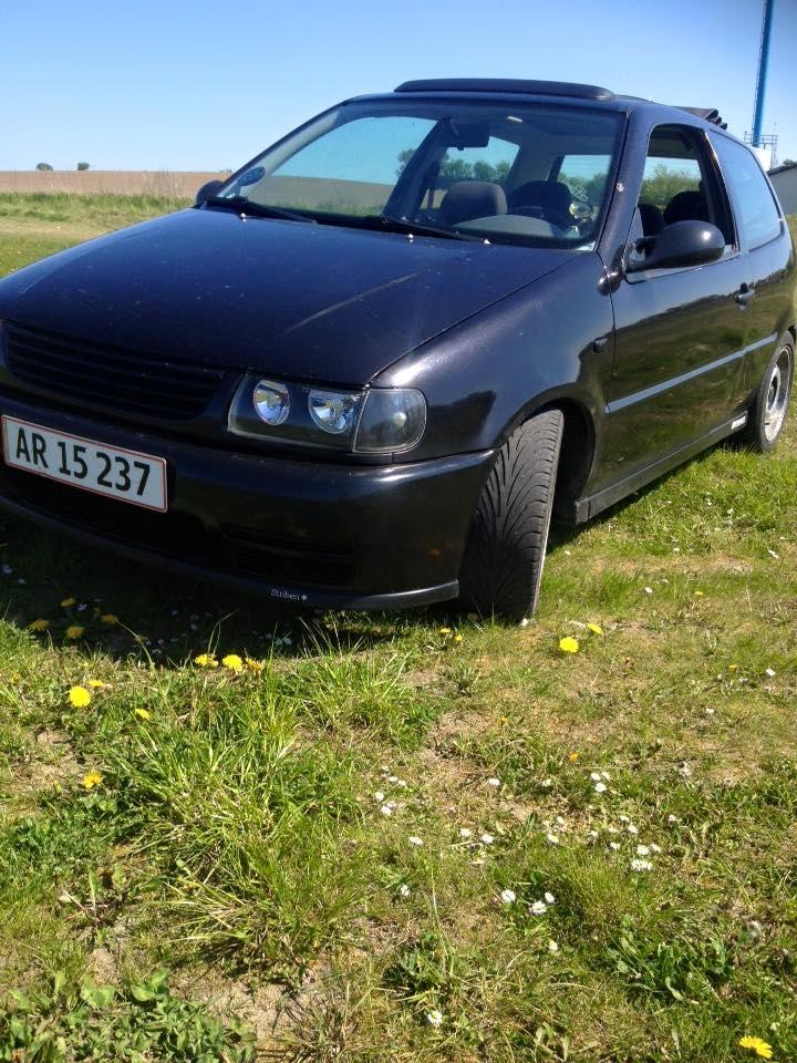 VW Polo 6n1 billede 8