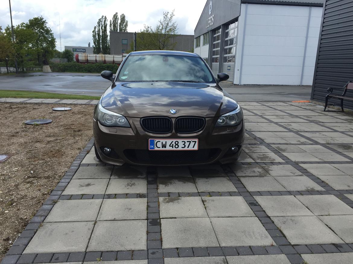 BMW E60 530D billede 12