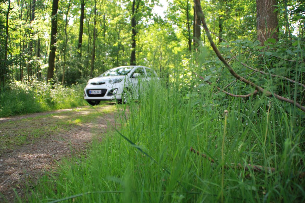 Kia Picanto 1.2 Exclusive billede 15