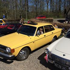 Volvo 144 de luxe ( Fru. Gyldenkål )