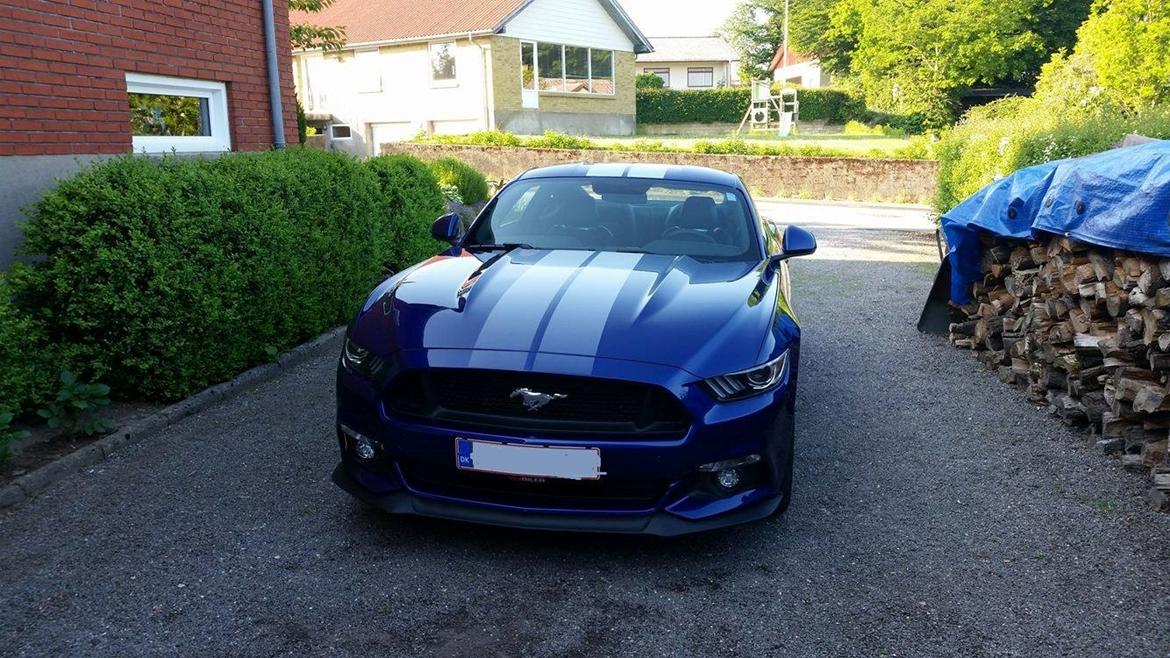 Ford Mustang GT billede 1