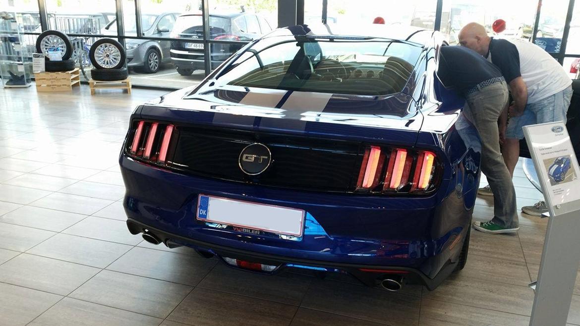 Ford Mustang GT billede 3