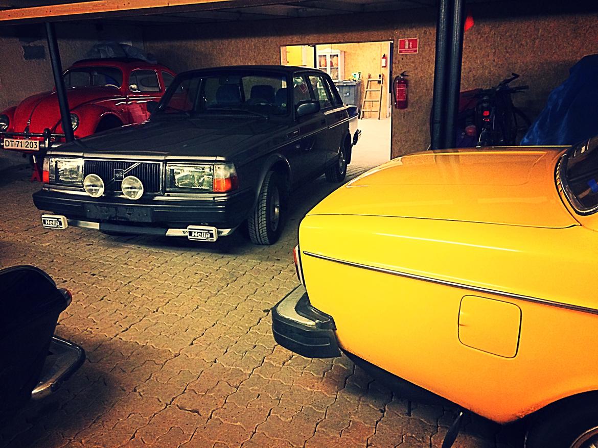 Volvo 144 de luxe ( Fru. Gyldenkål ) - Min anden VOLLE.. Flora en dejlig 240 billede 9