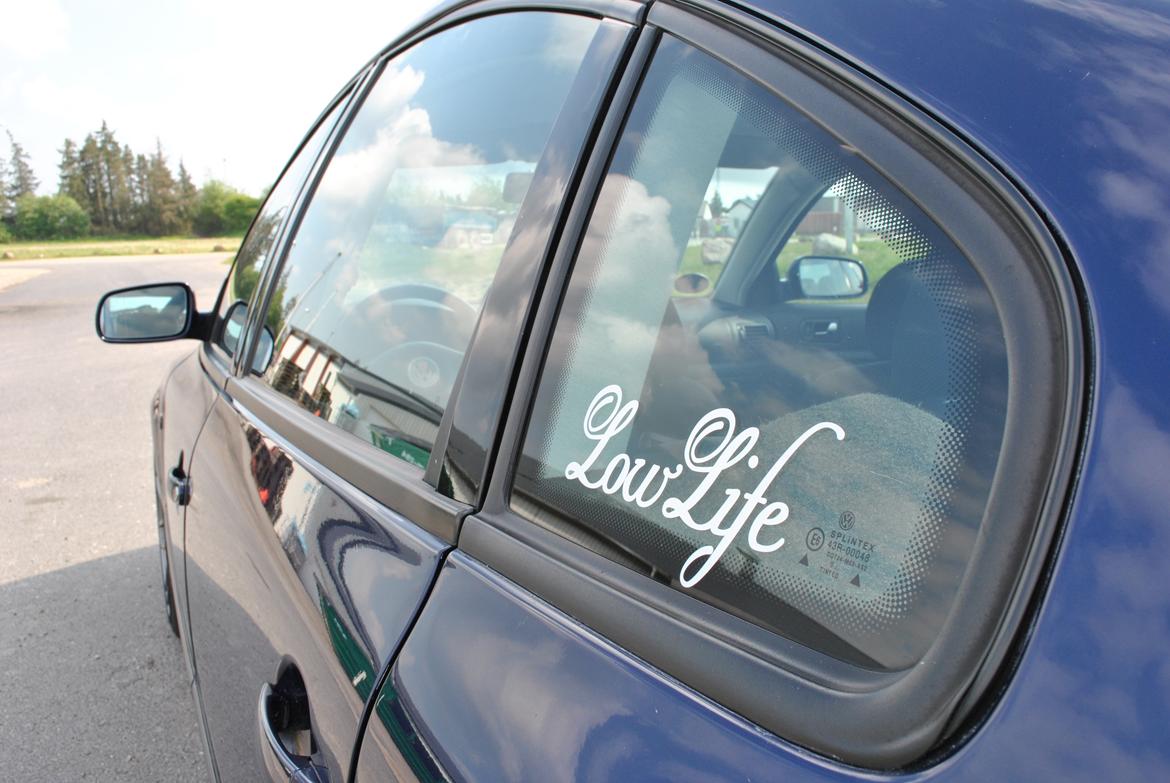 VW Passat 3b billede 14