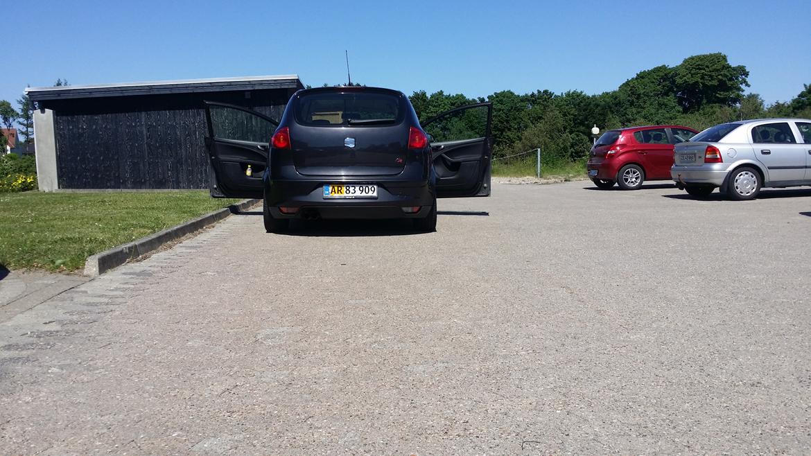 Seat altea tdi billede 5