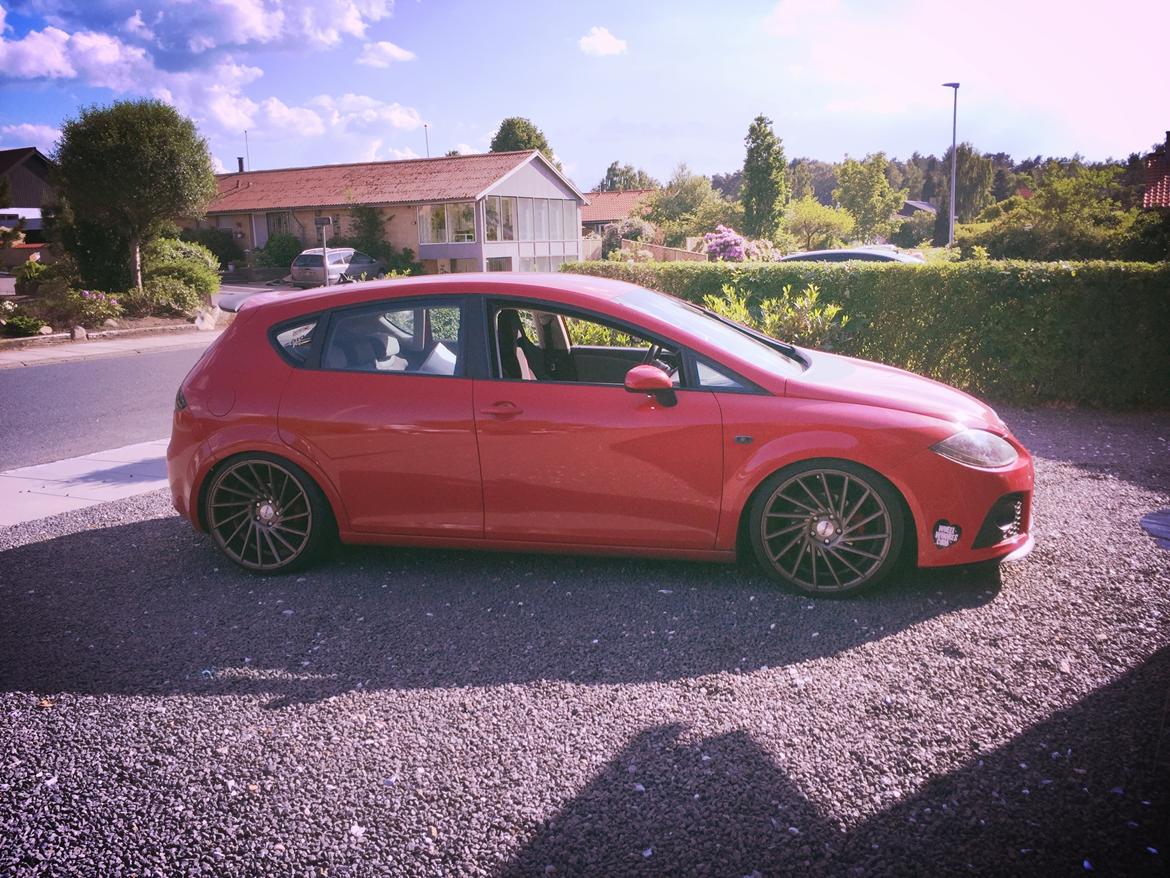 Seat Leon 1P (Cupra optik) billede 3