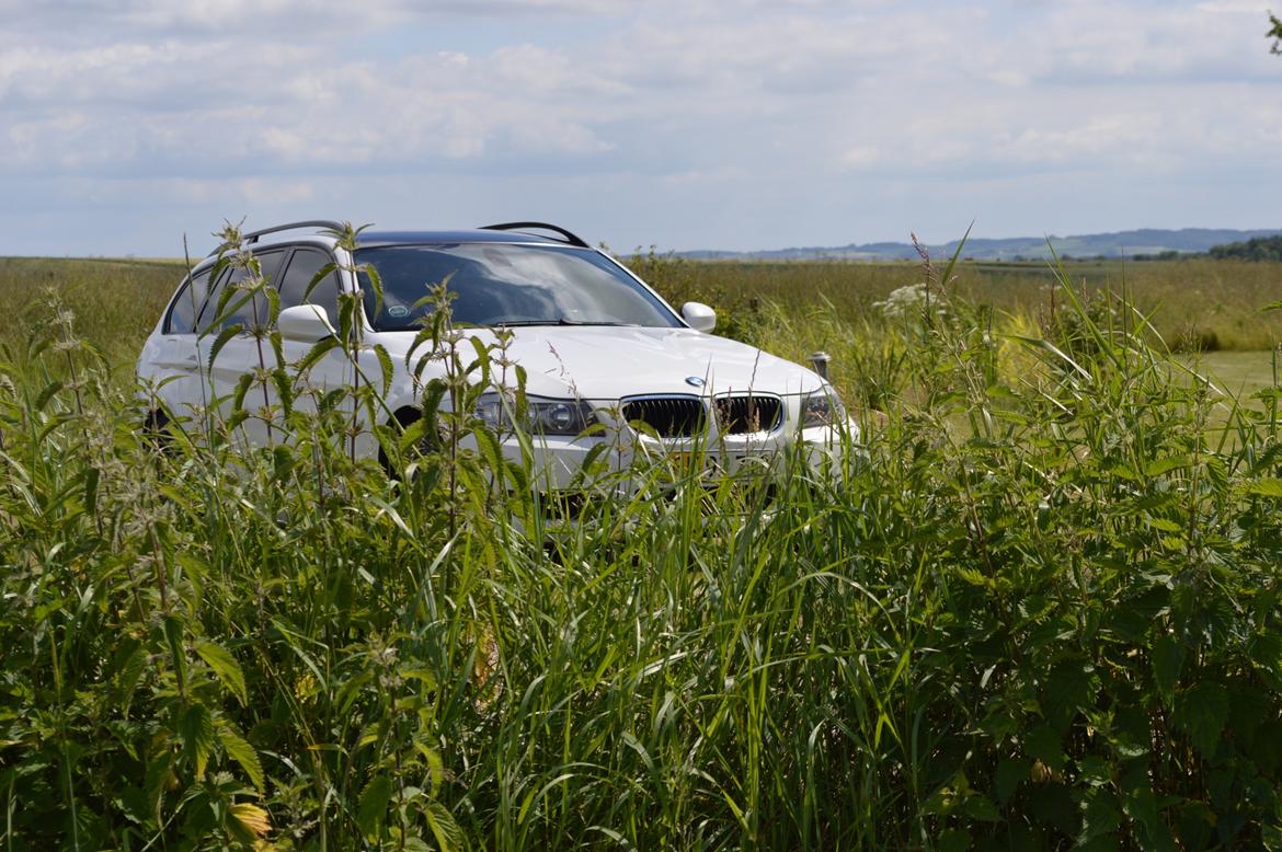 BMW 320D, E91 billede 14