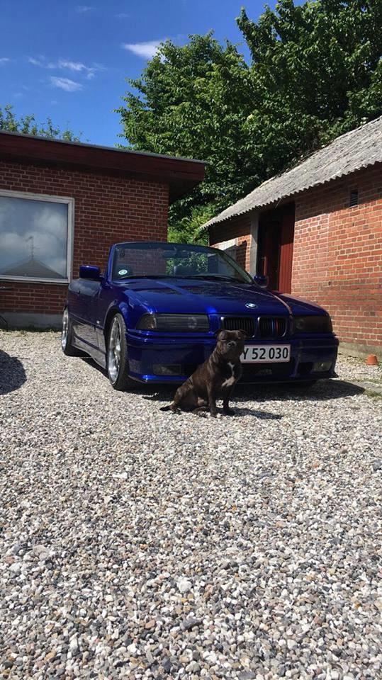 BMW e36 cab 325i billede 7