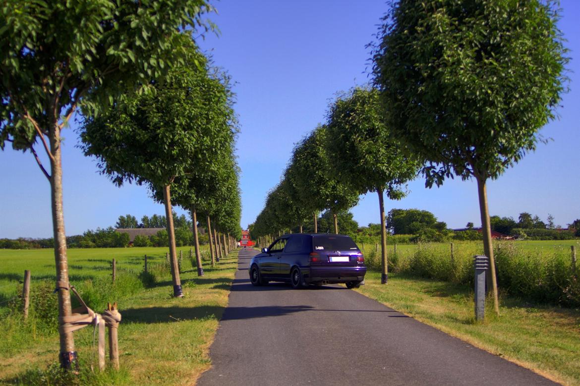 VW Golf 3 ( Joker ) billede 7