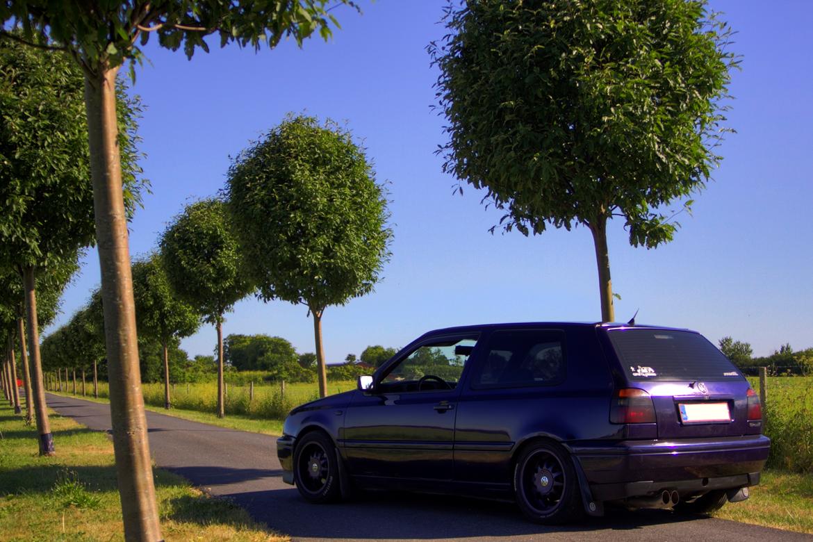 VW Golf 3 ( Joker ) billede 8