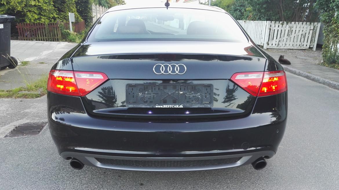 Audi A5 3.0 TDi V6 Quattro Tiptr. S-Line billede 4