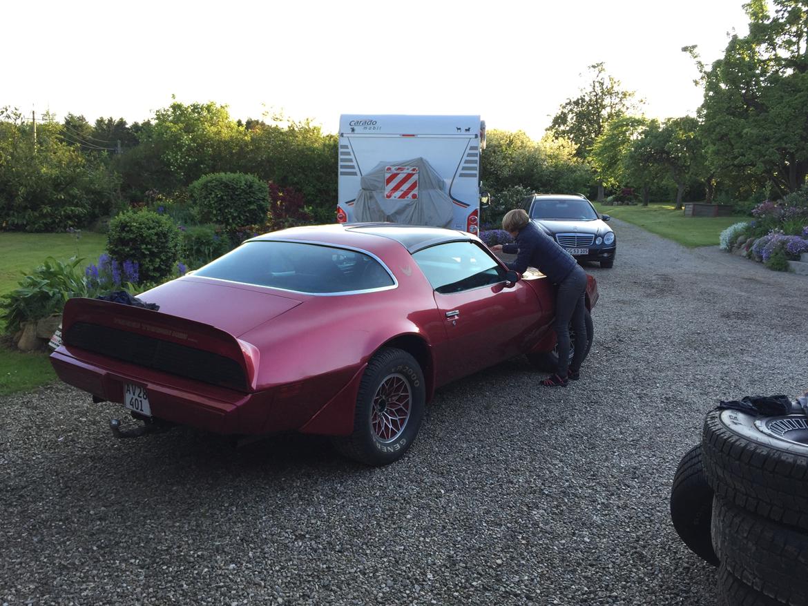 Pontiac Firebird TRANS AM billede 2