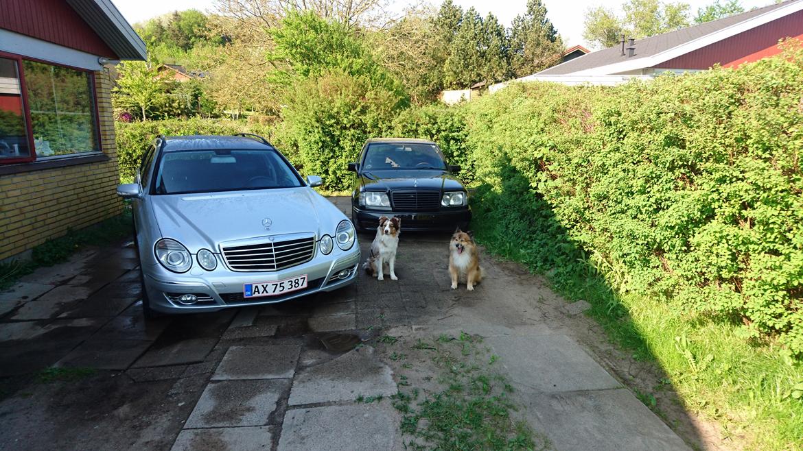 Mercedes Benz E320 CDI Avantgarde st.car aut. billede 8