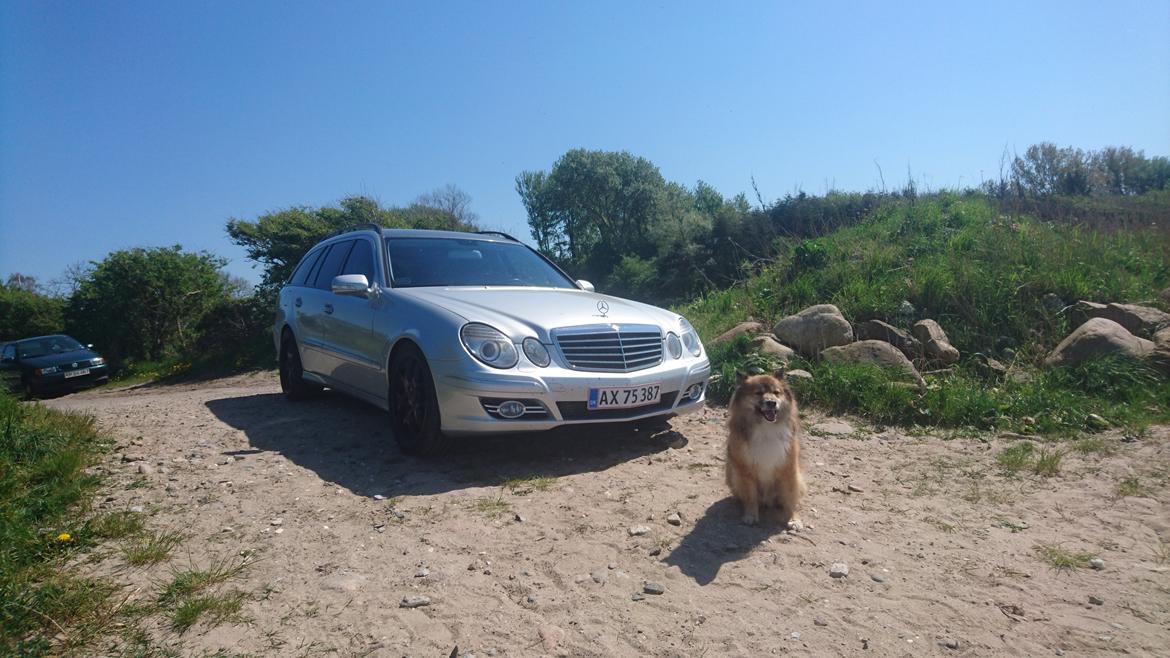 Mercedes Benz E320 CDI Avantgarde st.car aut. billede 4