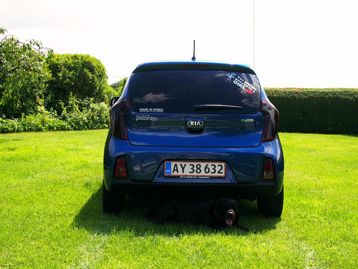 Kia Picanto billede 3