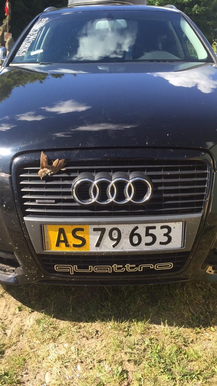 Audi A6 2,7 TDI billede 5