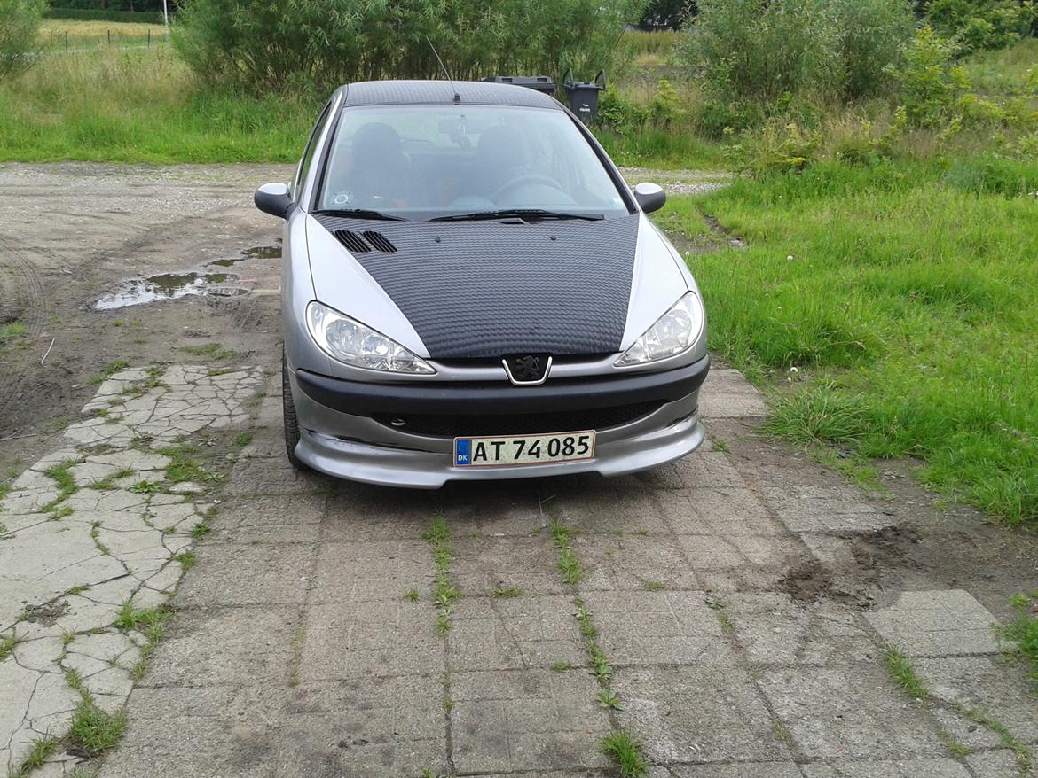 Peugeot 206 xr hdi RIP billede 4