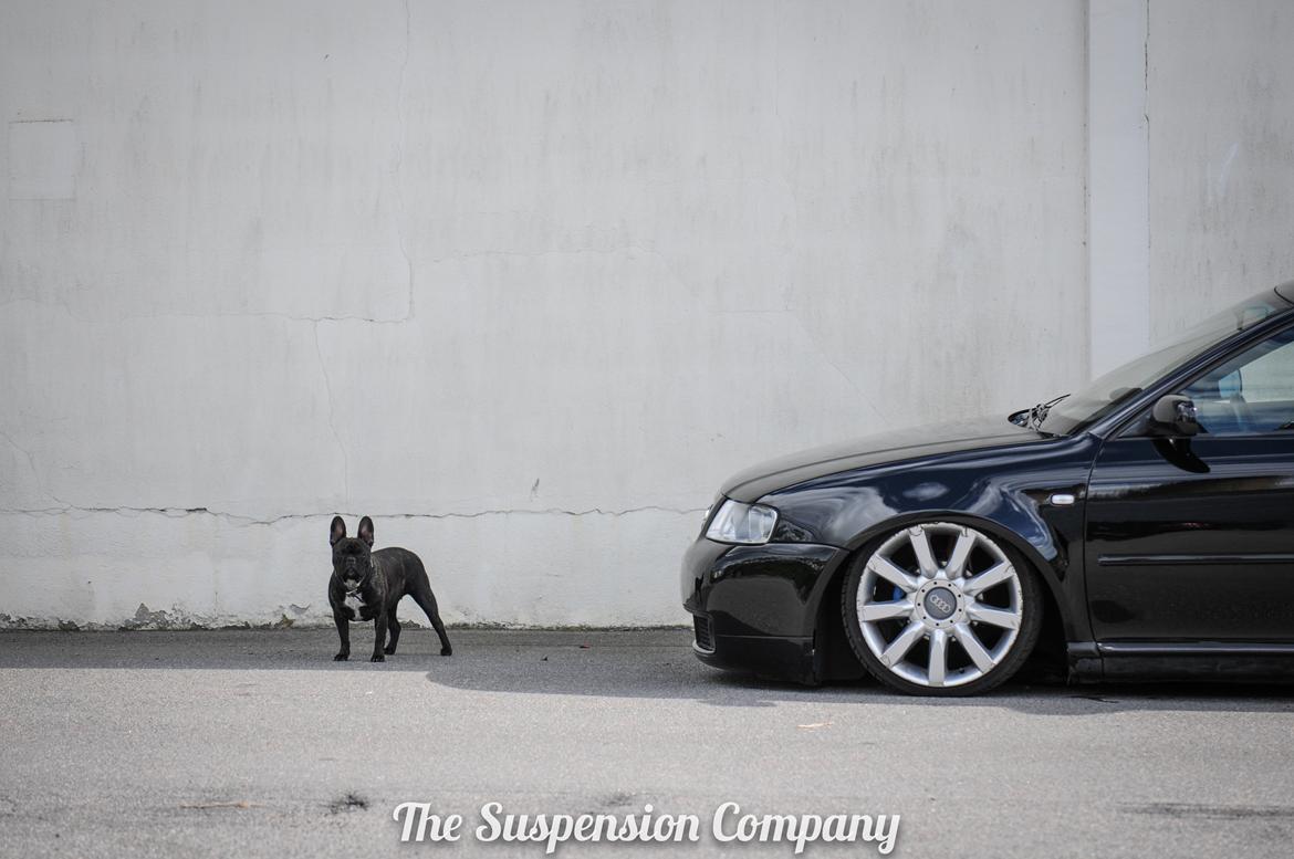 Audi A3 Airride billede 4