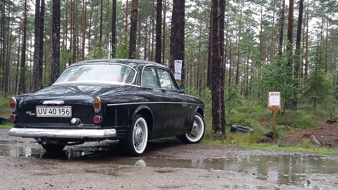 Volvo Amazon Quick - I en svensk skov ved bilkirkegården i Ryd billede 3