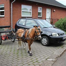 Honda Logo GA3 *Bibi*