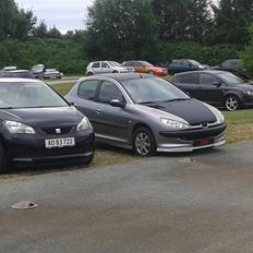 Peugeot 206 xr hdi RIP