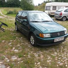 VW polo 6n1