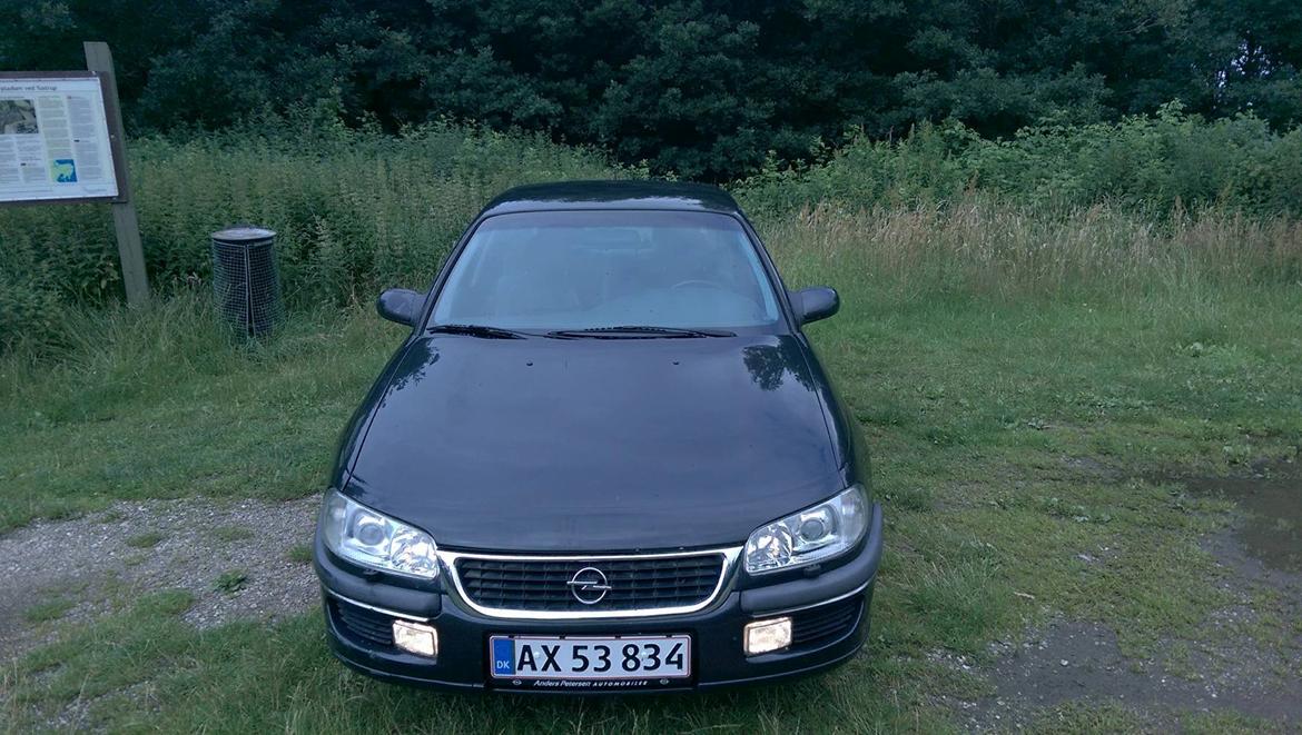 Opel Omega MV6 billede 1