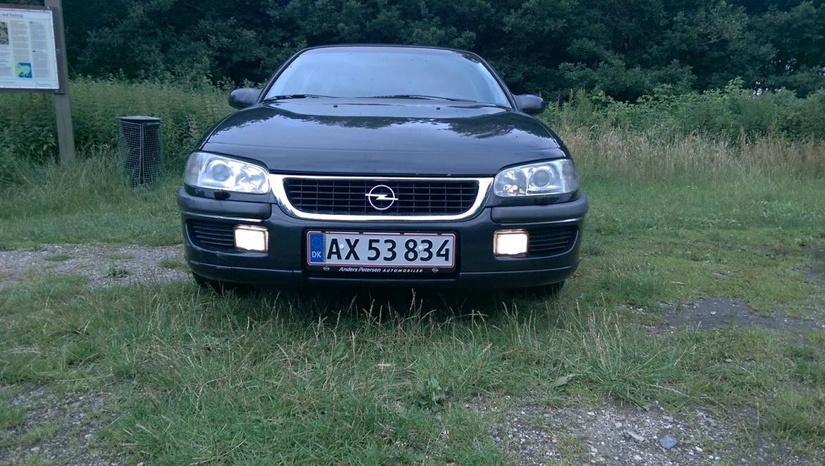 Opel Omega MV6 billede 3