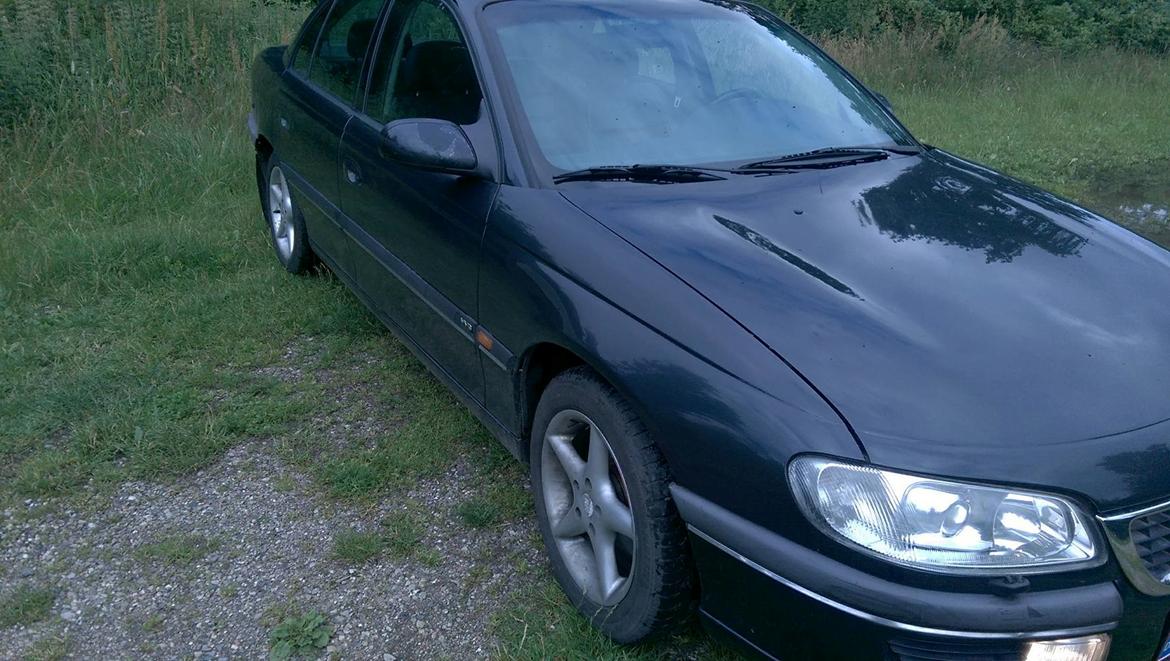 Opel Omega MV6 billede 2